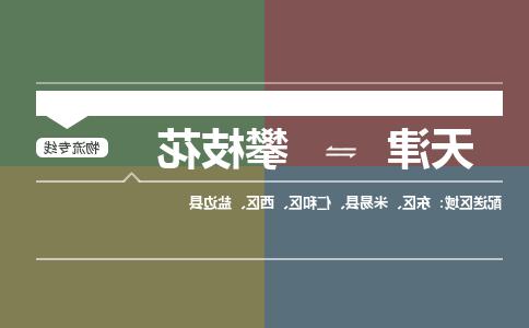 天津到攀枝花物流公司|天津到攀枝花专线|货运公司