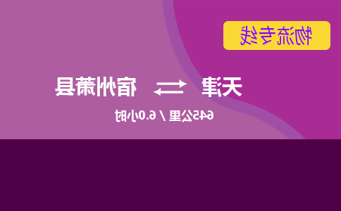 天津到宿州萧县物流专线-天津到宿州萧县货运公司-